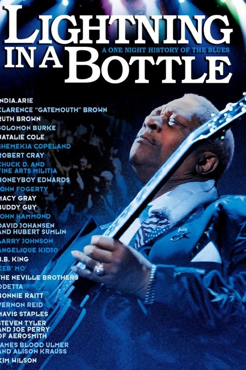 Lightning in a Bottle poster