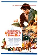 Adventures of a Young Man poster image