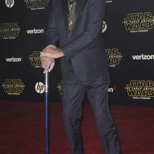 Peter Mayhew at arrivals for STAR WARS: THE FORCE AWAKENS Premiere, TCL Chinese 6 Theatres (formerly Grauman''s), Los Angeles, CA December 14, 2015. Photo By: Elizabeth Goodenough/Everett Collection