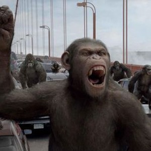 "Rise of the Planet of the Apes photo 9"