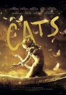 Cats poster image