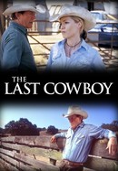 The Last Cowboy poster image