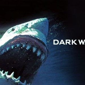 Dark Waters photo 15