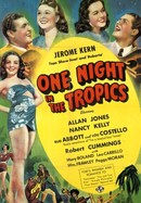 One Night in the Tropics poster image