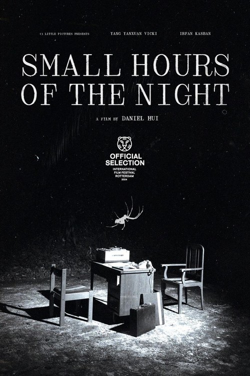 Small Hours of the Night poster