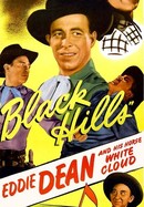 Black Hills poster image