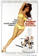 The Biggest Bundle of Them All poster image