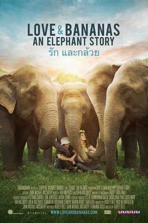 Love & Bananas: An Elephant Story poster