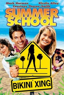 Summer School poster