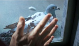 Inside: Movie Clip - Us Pigeons photo 2