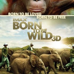 born to be wild 2011 similar movies