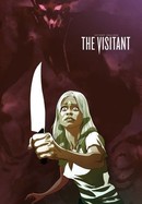 The Visitant poster image