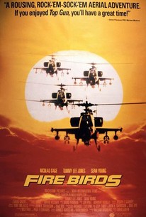 Fire Birds Rotten Tomatoes