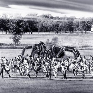 The Giant Spider Invasion (1975) photo 1