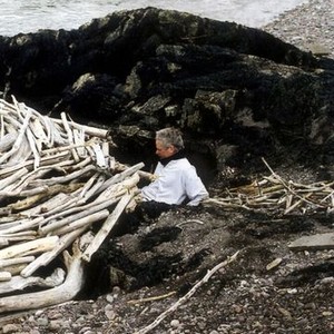 Rivers and Tides: Andy Goldsworthy With Time (2001) photo 2