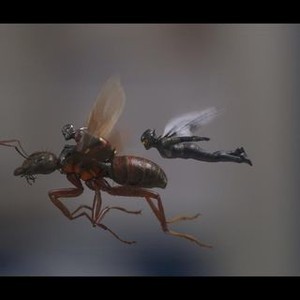 Ant-Man and the Wasp Is Certified Fresh