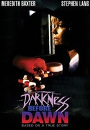 Darkness Before Dawn poster image