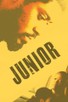 Poster for