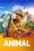 Poster for