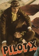 Pilot X poster image