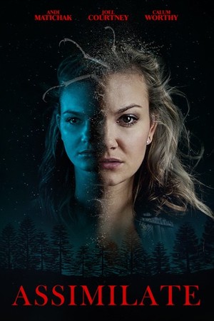 Assimilate poster