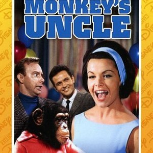 The Monkey's Uncle (1965) photo 13