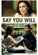 Say You Will poster image