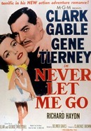 Never Let Me Go poster image