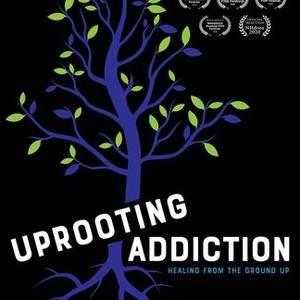 Uprooting Addiction Healing From The Ground Up Rotten Tomatoes