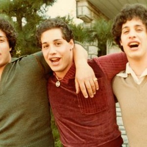 2018 Three Identical Strangers