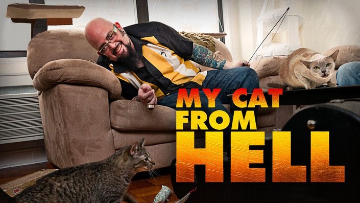 My cat from hell season 3 episode 4 2025