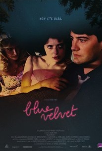 Blue Velvet  The Punk Theory