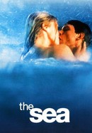 The Sea poster image