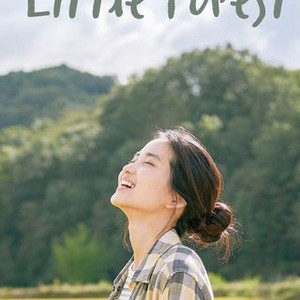 Little forest amazon prime sales
