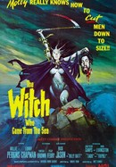 The Witch Who Came From the Sea poster image