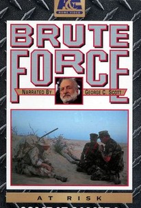 Brute Force: At Risk - Combat Camera
