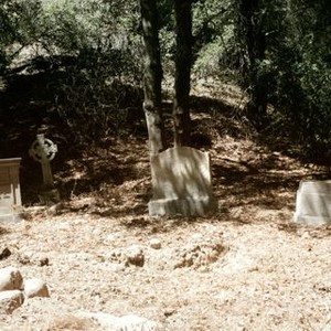 Digging Up the Marrow photo 4