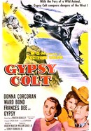 Gypsy Colt poster image