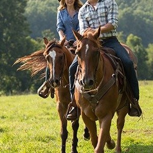 Britt Robertson as Sophia Danko and Scott Eastwood as Luke Collins in "The Longest Ride." photo 11