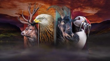 Wales: Land of the Wild | Rotten Tomatoes 