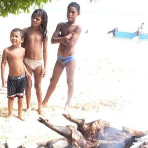 Beautiful Islands photo 11