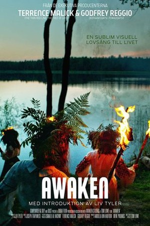 Awaken poster