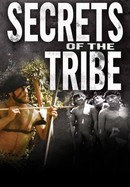 Secrets of the Tribe poster image