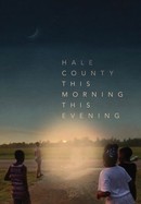 Hale County This Morning, This Evening poster image