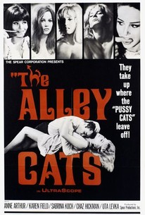 The Alley Cats | Rotten Tomatoes