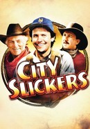City Slickers poster image