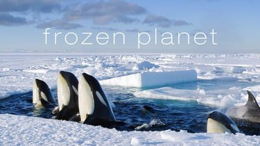 BBC One - Frozen Planet, On Thin Ice