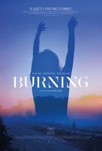 Burning Beoning 2018 Rotten Tomatoes