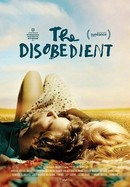 The Disobedient poster image