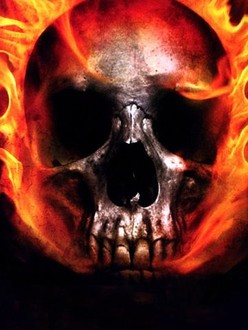Poker Run | Rotten Tomatoes